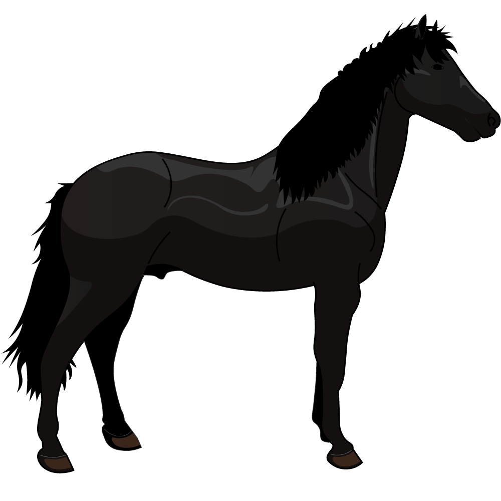 Silhouette of the Menorcan Horse