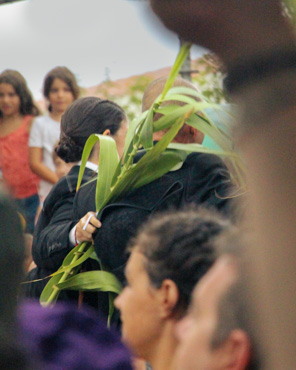 Caixera con la canya