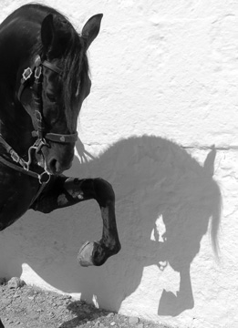 Poster Sant Cristòfol 2016